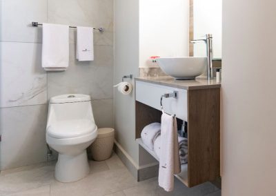 AUTÉNTICO VERTICAL ZONA REAL