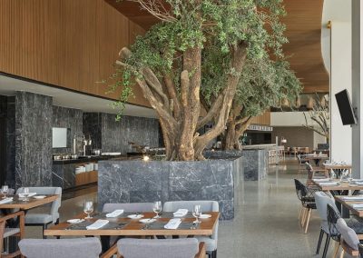 FIESTA AMERICANA CITADELLA