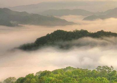 VIDANTA / NUEVO VALLARTA